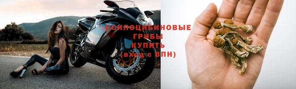 экстази Алексин