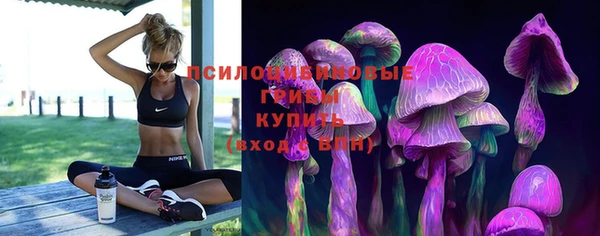 крисы Алзамай