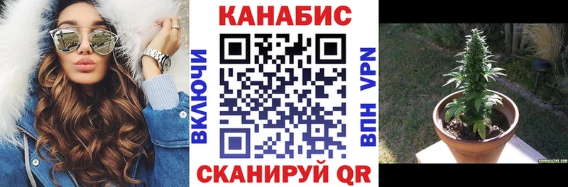 мега онион  Игра  даркнет официальный сайт  Конопля VHQ 